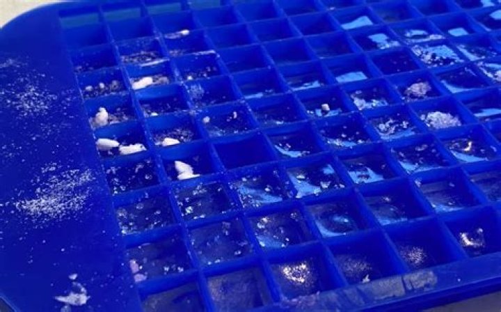 Are plastic ice trays safe?