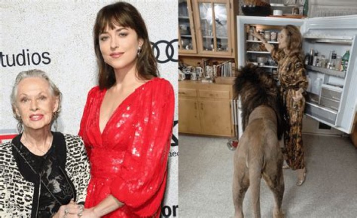 Dakota Johnson says grandma Tippi Hedren still lives with 13 big cats