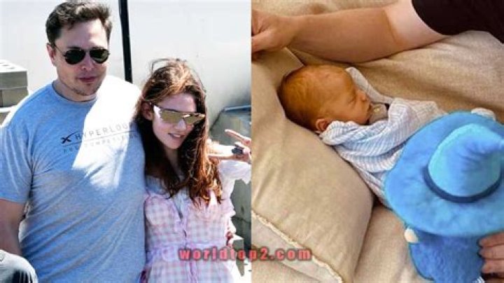 Exa Dark Siderael Musk Bio (Wiki) 