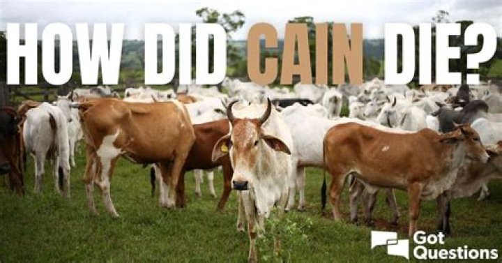 How did Cain die? What happened to Cain?