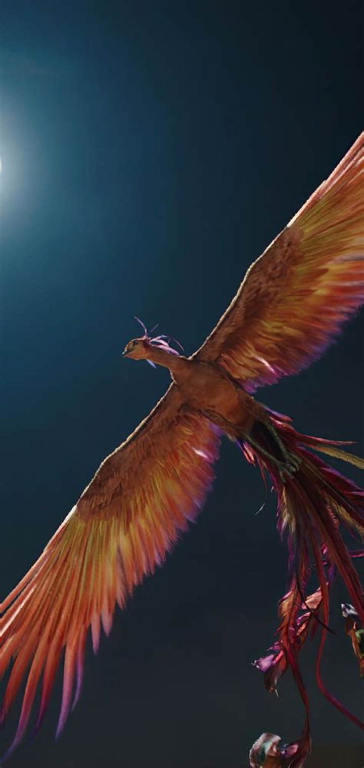 Huang Xiaoming Bio (Wiki) 