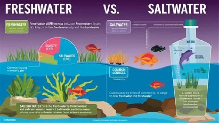 Is the Nile River freshwater or saltwater?