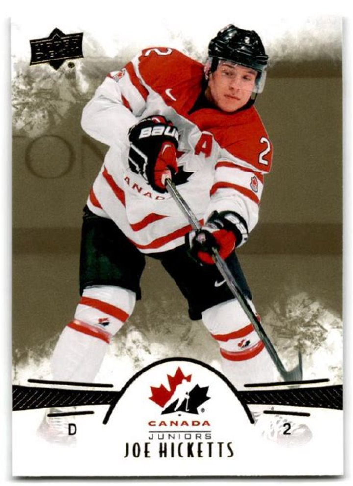 Joe Hicketts Bio (Wiki) 