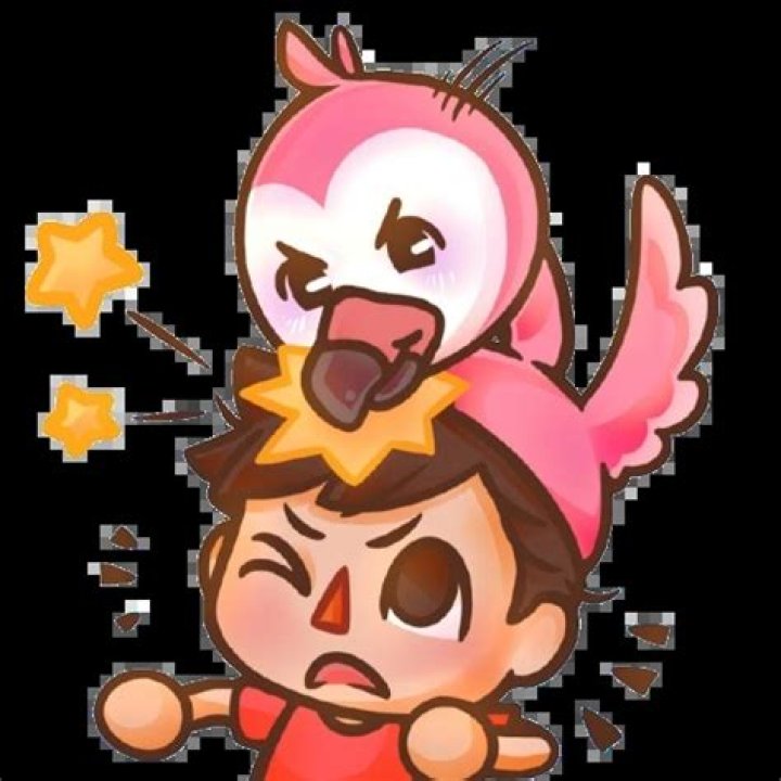 KonekoKitten Bio (Wiki) 