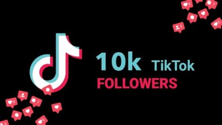 Top 10 TikTok couples with millions of followers! Know their total followers and likes count