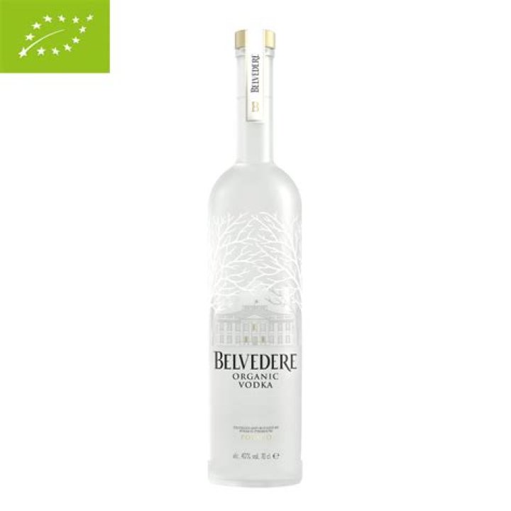 Vittoria Belvedere Bio (Wiki) 