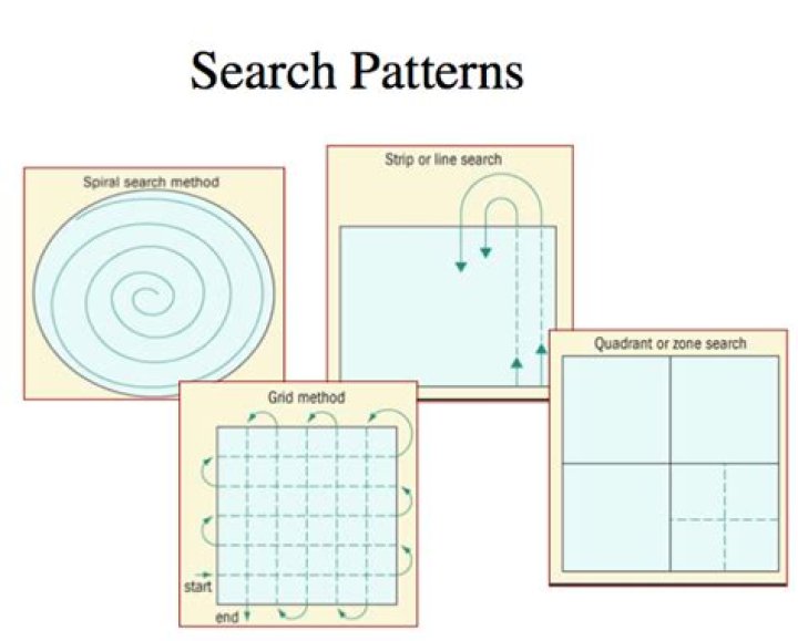 What are 4 types of search patterns?