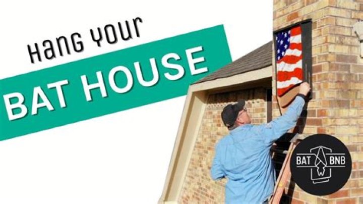 Where do you hang a bat house in Michigan?